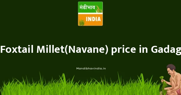 Foxtail Millet(Navane) price